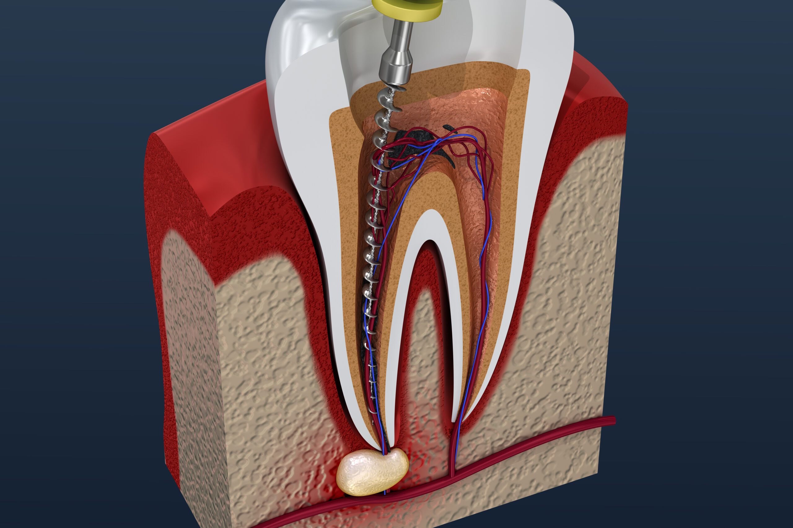 General Family Dentistry